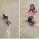 ഫോ​ട്ടോ എ​ടു​ക്കു​ന്ന​തി​നി​ടെ വെ​ള്ള​ച്ചാ​ട്ട​ത്തി​ൽ വീ​ണ് മൂ​ന്ന് പേ​ർ മ​രി​ച്ചു