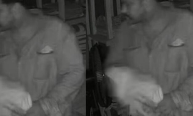 പാലാരിവട്ടത്ത് തുണിക്കടയില്‍ കവര്‍ച്ച; പണവും തുണികളും മോഷ്ടിച്ചു