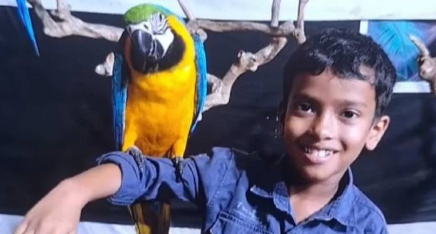 ത​ല​യ​ണ​യു​ടെ അ​ടി​യി​ൽ പാ​മ്പ്; എ​ട്ട് വ​യ​സു​കാ​ര​ന് ദാ​രു​ണാ​ന്ത്യം, സഹോദരൻ്റെ നില അതീവ ​ഗുരതരം