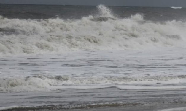 മ​ത്സ്യ​മി​ല്ല; മ​ണ്ണെ​ണ്ണ​യ്ക്കു തീ​വി​ല​യും, തീ​ര​ദേ​ശം പ​ട്ടി​ണി​യി​ൽ