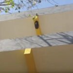 സ്കൂ​ളി​ലെ തേ​നീ​ച്ച ആ​ക്ര​മ​ണ​ത്തി​ൽ ഒ​മ്പ​ത് വ​യ​സു​കാ​ര​ൻ മ​ര​ച്ചു