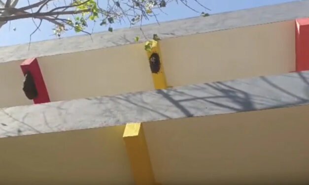 സ്കൂ​ളി​ലെ തേ​നീ​ച്ച ആ​ക്ര​മ​ണ​ത്തി​ൽ ഒ​മ്പ​ത് വ​യ​സു​കാ​ര​ൻ മ​ര​ച്ചു