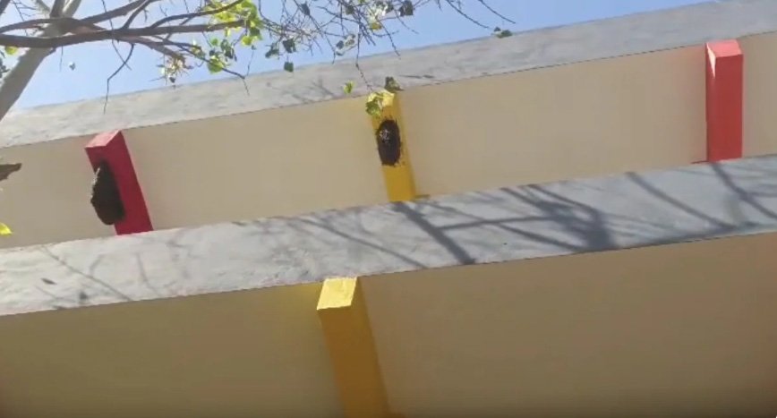 സ്കൂ​ളി​ലെ തേ​നീ​ച്ച ആ​ക്ര​മ​ണ​ത്തി​ൽ ഒ​മ്പ​ത് വ​യ​സു​കാ​ര​ൻ മ​ര​ച്ചു