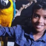 എ​ട്ടു​വ​യ​സു​കാ​ര​ൻ പാ​മ്പു​ക​ടി​യേ​റ്റ് മ​രി​ച്ച സം​ഭ​വം; കു​ട്ടി​യെ ക​ടി​ച്ച​ത് ശം​ഖ് വ​ര​യ​ൻ