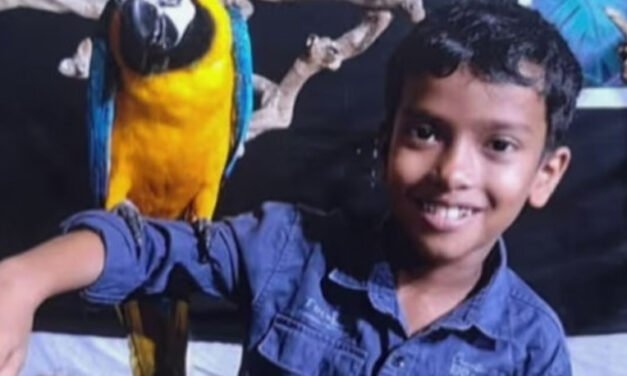 എ​ട്ടു​വ​യ​സു​കാ​ര​ൻ പാ​മ്പു​ക​ടി​യേ​റ്റ് മ​രി​ച്ച സം​ഭ​വം; കു​ട്ടി​യെ ക​ടി​ച്ച​ത് ശം​ഖ് വ​ര​യ​ൻ