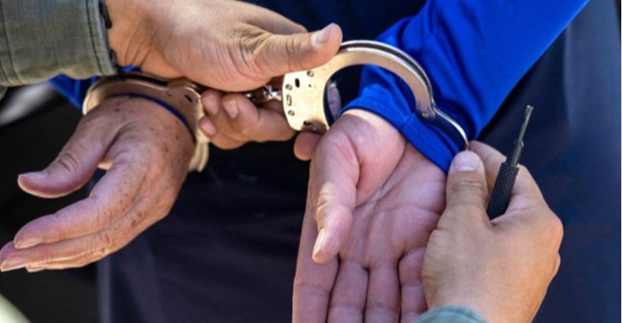 മ​ഹാ​രാ​ഷ്ട്ര​യി​ൽ അ​ഞ്ച് കോ​ടി​യു​ടെ ല​ഹ​രി​മ​രു​ന്നു​മാ​യി യു​വ​തി പി​ടി​യി​ൽ