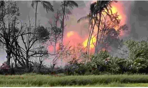 മു​ണ്ട​ത്തി​ക്കോ​ട് ദു​ര​ന്തം; ഒ​രാ​ൾ കൂ​ടി മ​രി​ച്ചു