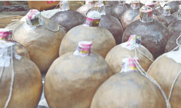 പാ​റ​മേ​ക്കാ​വ് പ​ട​ക്ക നി​ർ​മാ​ണ​ശാ​ല ഉ​ട​മ​യ്ക്കെ​തി​രെ കേ​സ്