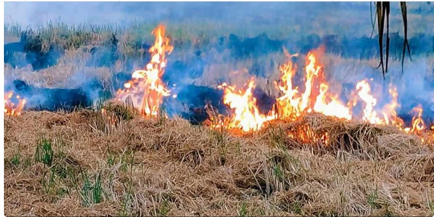 കുമരകം കുന്നപ്പള്ളി നൂറിൽ പാടശേഖരത്തിൽ തീപിടിത്തം
