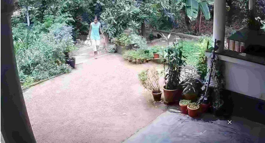 ചെ​ടി​ച്ച​ട്ടി​യി​ല്‍ പ​ത്തി വി​ട​ര്‍​ത്തി പാ​മ്പ്; കാ​ല​ടി​യി​ല്‍ പെ​ണ്‍​കു​ട്ടി ര​ക്ഷ​പ്പെ​ട്ട​ത് ത​ല​നാ​രി​ഴ​യ്ക്ക്