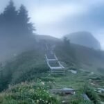 ഊട്ടിയേക്കാൾ തണുപ്പ്, മൂന്നാറിനേക്കാൾ പച്ചപ്പ്; മഞ്ഞും കുളിർമയും നിറഞ്ഞ ഈ ഹിൽസ്റ്റേഷനുകളിലേയ്ക്ക് യാത്ര പോകാം