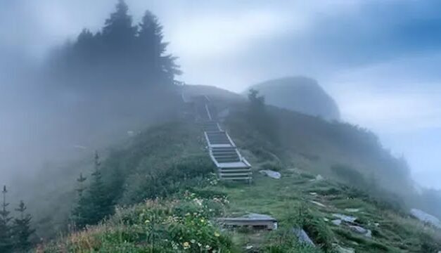 ഊട്ടിയേക്കാൾ തണുപ്പ്, മൂന്നാറിനേക്കാൾ പച്ചപ്പ്; മഞ്ഞും കുളിർമയും നിറഞ്ഞ ഈ ഹിൽസ്റ്റേഷനുകളിലേയ്ക്ക് യാത്ര പോകാം