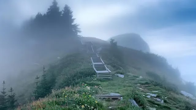 ഊട്ടിയേക്കാൾ തണുപ്പ്, മൂന്നാറിനേക്കാൾ പച്ചപ്പ്; മഞ്ഞും കുളിർമയും നിറഞ്ഞ ഈ ഹിൽസ്റ്റേഷനുകളിലേയ്ക്ക് യാത്ര പോകാം