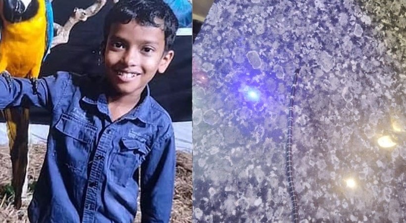 വീണ്ടും ശംഖുവരയന്‍; കോടാലിയില്‍ സഹോദരങ്ങള്‍ക്ക് പാമ്പുകടിയേറ്റ വീട്ടില്‍ നിന്ന് അഞ്ചാമത്തെ പാമ്പിനെ കണ്ടെത്തി