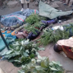 നൈജീരിയയിൽ ഓശാന ഞായറാഴ്ചയുണ്ടായ ആക്രമണത്തിൽ കൊല്ലപ്പെട്ടവരുടെ എണ്ണം 27 ആയി