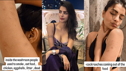 ’17 മത്സരാർഥികൾക്ക് ഒറ്റ ശുചിമുറി, അടുക്കളയിൽ എലികൾ…’; മറാത്തി ബിഗ് ബോസിനെതിരെ ഗുരുതര ആരോപണങ്ങളുമായി നടി സൊനാലി റൗട്ട്