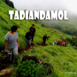 തടിയന്റമോൾ ട്രക്കിങ്ങിന് താൽകാലിക വിലക്ക്; സോളോ ട്രക്കിങ്ങിന് നിയന്ത്രണം ഏർപ്പെടുത്തി കർണാടക വനംവകുപ്പ്