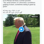 ട്രംപിൻ്റെ അവകാശവാദങ്ങളെ പരിഹസിച്ച് ഇറാൻ ഔദ്യോഗിക മാധ്യമങ്ങൾ