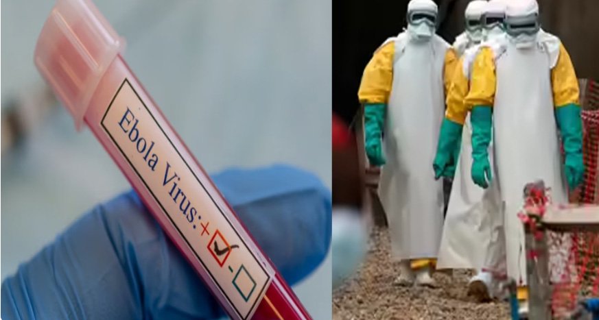 കോം​ഗോ​യി​ൽ എ​ബോ​ള പ​ട​രു​ന്നു: അ​ന്താ​രാ​ഷ്ട്ര ആ​രോ​ഗ്യ അ​ടി​യ​ന്ത​രാ​വ​സ്ഥ പ്ര​ഖ്യാ​പി​ച്ച് ഡ​ബ്ല്യു​എ​ച്ച്ഒ
