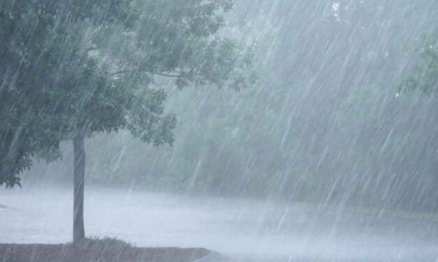 നാ​ല് ദി​വ​സം മ​ഴ ക​ന​ക്കും; ഒ​ന്‍​പ​ത് ജി​ല്ല​ക​ളി​ൽ യെ​ല്ലോ അ​ല​ര്‍​ട്ട്
