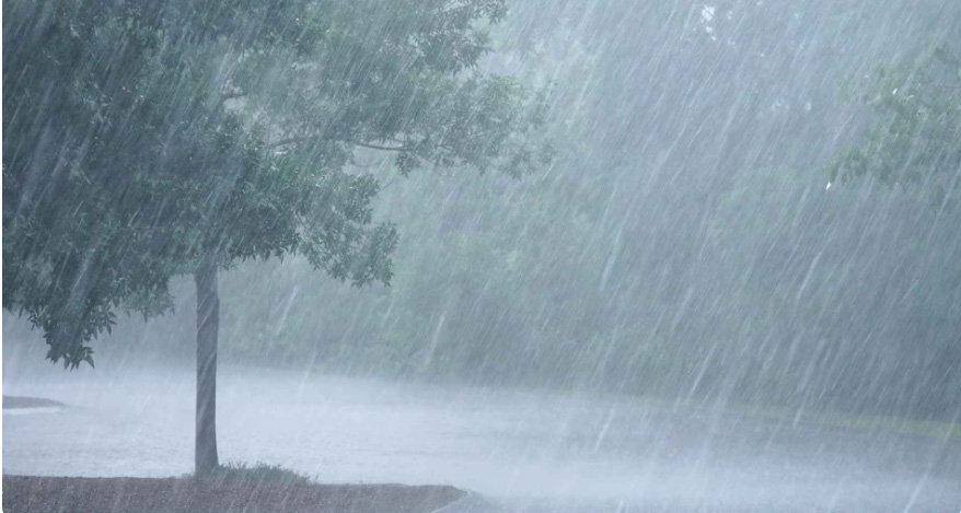 നാ​ല് ദി​വ​സം മ​ഴ ക​ന​ക്കും; ഒ​ന്‍​പ​ത് ജി​ല്ല​ക​ളി​ൽ യെ​ല്ലോ അ​ല​ര്‍​ട്ട്