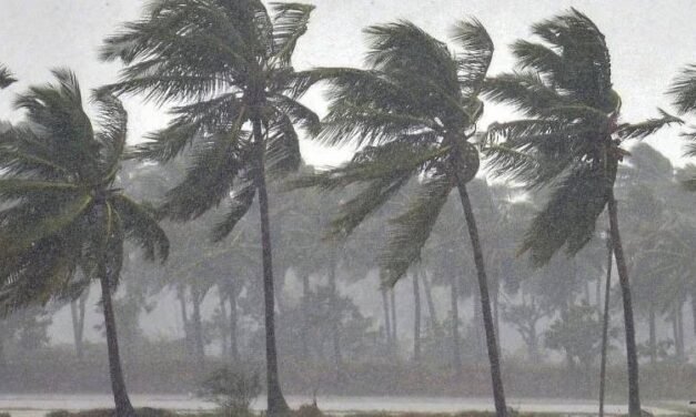 മഴ കനക്കുന്നു, മുന്നയിപ്പ് പുതുക്കി; 10 ജില്ലകളിൽ യെല്ലോ അലേർട്ട് പ്രഖ്യാപിച്ചു; 4 ദിവസം സംസ്ഥാനത്ത് ജാഗ്രത