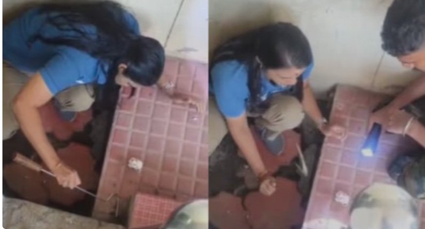 വി​തു​ര താ​ലൂ​ക്ക് ആ​ശു​പ​ത്രി​യി​ൽ അ​ണ​ലി; ആ​ർ​ആ​ർ​ടി സം​ഘ​മെ​ത്തി പി​ടി​കൂ​ടി