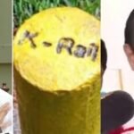 ഇ ശ്രീധരന്റെ അതിവേഗ ബദൽ പാത സർക്കാർ ഏറ്റെടുക്കാൻ ആലോചന, 2 ആഴ്ചക്കുള്ളിൽ മന്ത്രിസഭ തീരുമാനം