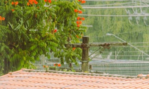 വേ​ന​ൽ മ​ഴ ശ​ക്ത​മാ​യി തു​ട​രും; ഏ​ഴ് ജി​ല്ല​ക​ളി​ൽ ഇ​ന്ന് യെ​ല്ലോ അ​ല​ർ​ട്ട്