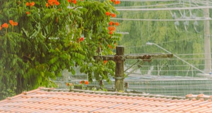 വേ​ന​ൽ മ​ഴ ശ​ക്ത​മാ​യി തു​ട​രും; ഏ​ഴ് ജി​ല്ല​ക​ളി​ൽ ഇ​ന്ന് യെ​ല്ലോ അ​ല​ർ​ട്ട്