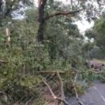 വേനൽ മഴയിൽ സംസ്ഥാനത്ത് വ്യാപക നാശനഷ്ടം: പലയിടത്തും ​ഗതാ​ഗതം തടസ്സപ്പെട്ടു