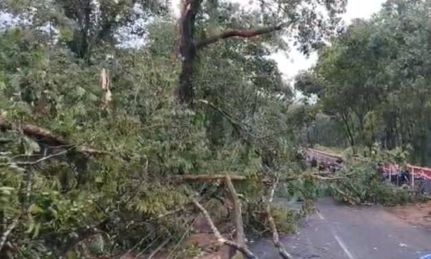 വേനൽ മഴയിൽ സംസ്ഥാനത്ത് വ്യാപക നാശനഷ്ടം: പലയിടത്തും ​ഗതാ​ഗതം തടസ്സപ്പെട്ടു