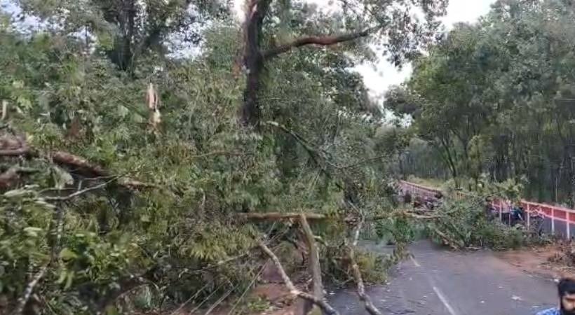 വേനൽ മഴയിൽ സംസ്ഥാനത്ത് വ്യാപക നാശനഷ്ടം: പലയിടത്തും ​ഗതാ​ഗതം തടസ്സപ്പെട്ടു