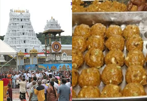 തിരുപ്പതി ലഡ്ഡു നെയ്യ് കുംഭകോണം: വ്യാജ കമ്പനികൾക്ക് കരാറുകൾ