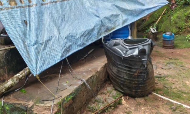 കുട്ടമ്പുഴയില്‍ വീണ്ടും കാട്ടാനയാക്രമണം; കൃഷിയും വാട്ടര്‍ ടാങ്കുകളും നശിപ്പിച്ചു