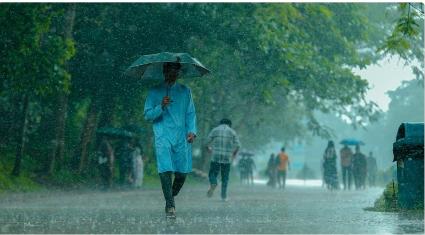 സം​സ്ഥാ​ന​ത്ത് ഇ​ന്നും ശ​ക്ത​മാ​യ മ​ഴ